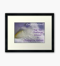 Closeups in Nature Top Ten Banner Framed Print