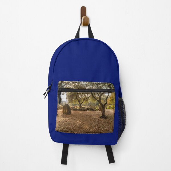 Item preview, Archaeological Site of Olympia 1010 designed and sold by KensLensDesigns.