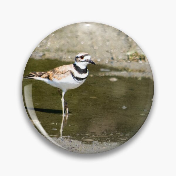 Item preview, Killdeer designed and sold by MoreGoodArt.