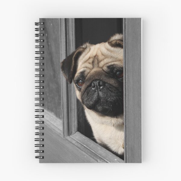Item preview, Pug Looking Out designed and sold by LingLing-Me.