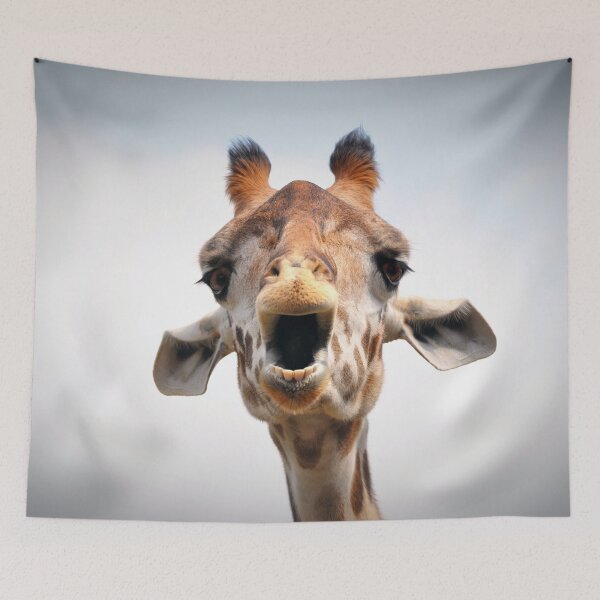 Item preview, Open Wide! designed and sold by Savannah Gibbs.