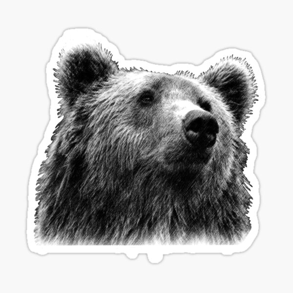 Item preview, Bear face - Grayscale  designed and sold by Saylar.
