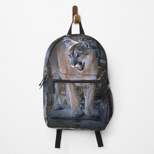Item preview, Cougar designed and sold by Savannah Gibbs.