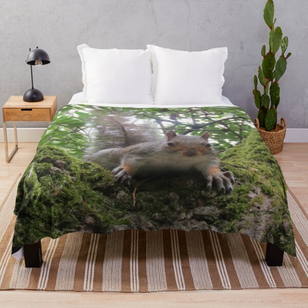 Item preview, A cheeky grey squirrel designed and sold by joshuarainbird.