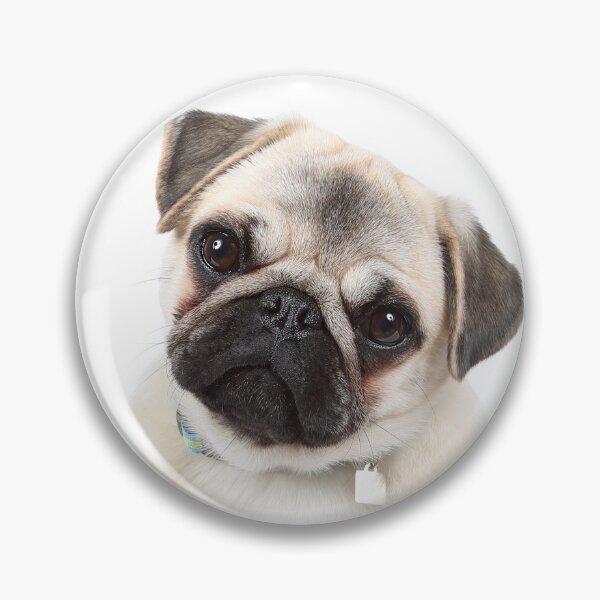 Item preview, Piglet the Pug designed and sold by mlorenz.