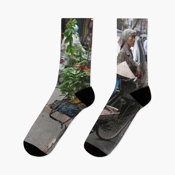 Item preview, Bicycle carrying Bonsai trees, Hanoi, Vietnam designed and sold by worldways.