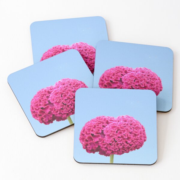 Item preview, Bizarre Pink Cockscomb Brain Celosia Flower designed and sold by worldways.