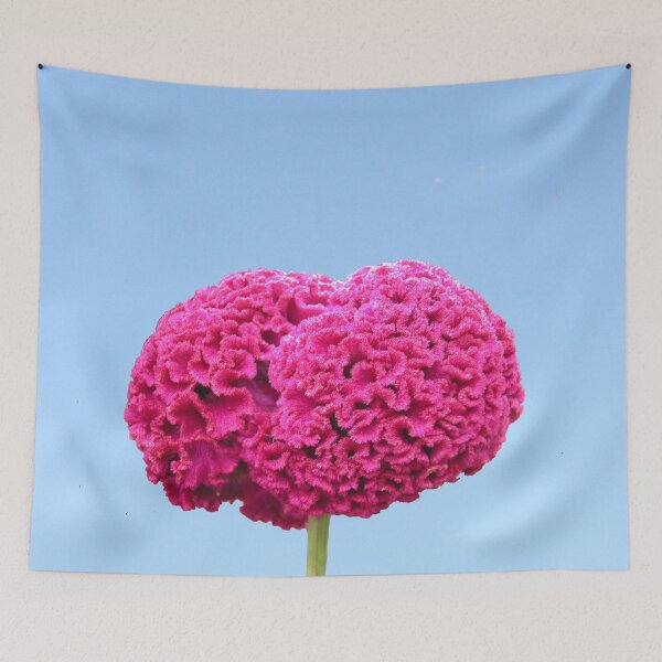 Item preview, Bizarre Pink Cockscomb Brain Celosia Flower designed and sold by worldways.
