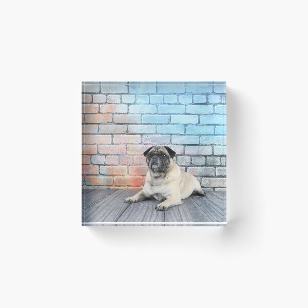 Item preview, Pug Life designed and sold by mlorenz.