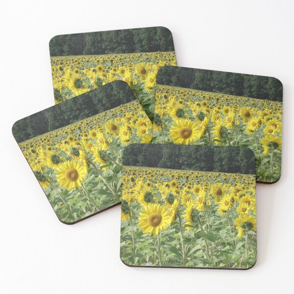 Item preview, Sun Flower  designed and sold by obrien6334.