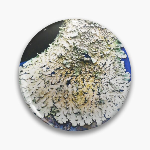 Item preview, Lichens Growing On An Old Ford Ranger designed and sold by thedesignvine.