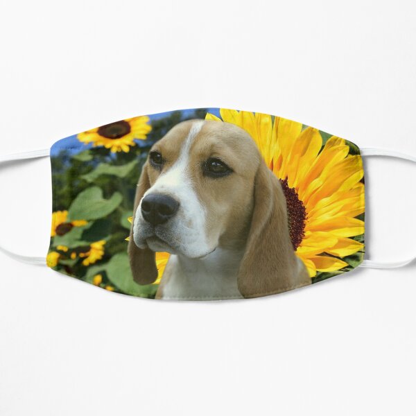 Beagle Sunflower Flat Mask
