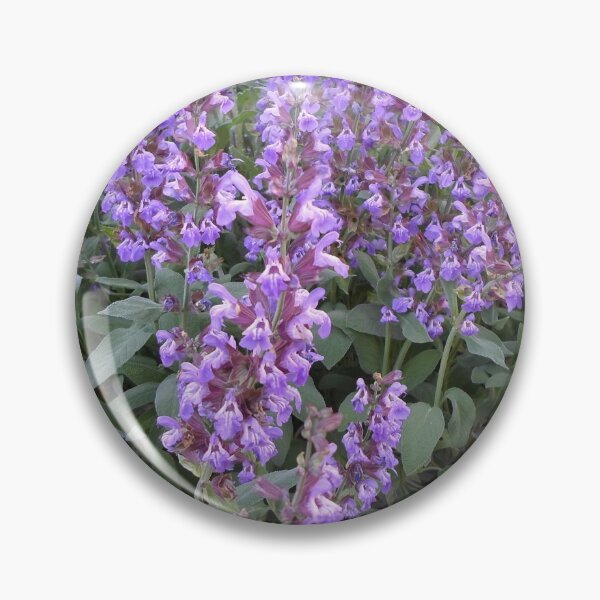 Item preview, Sage in Bloom designed and sold by KeksWorkroom.