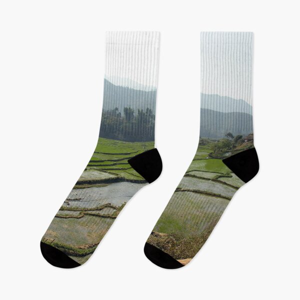 Item preview, Rice Fields Rural Landscape, Vietnam designed and sold by worldways.
