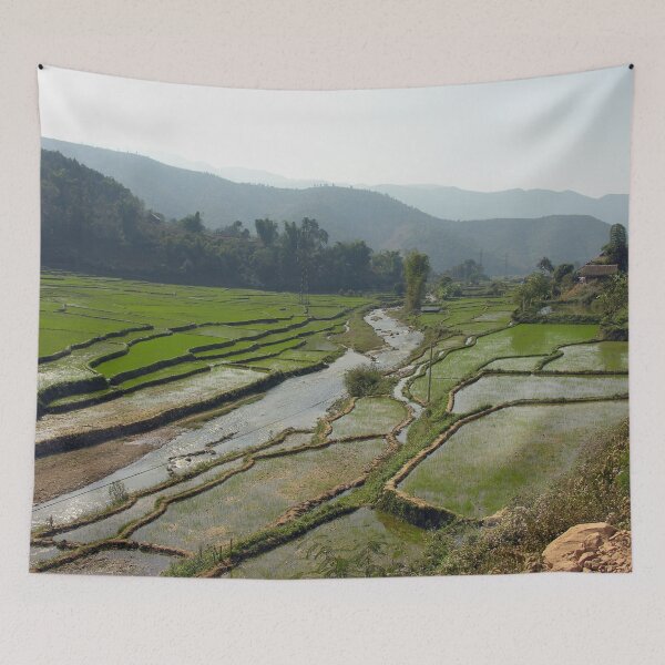 Item preview, Rice Fields Rural Landscape, Vietnam designed and sold by worldways.