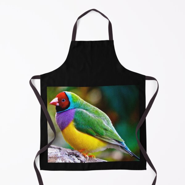 Item preview, Australian Gouldian Finch; an Endangered Species designed and sold by TonyMayoArt.