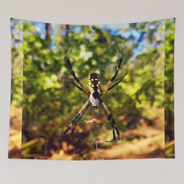 Item preview, Garden Spider designed and sold by thedesignvine.