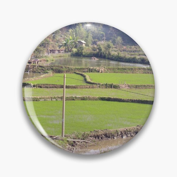 Item preview, Rice Fields Landscape, Vietnam designed and sold by worldways.