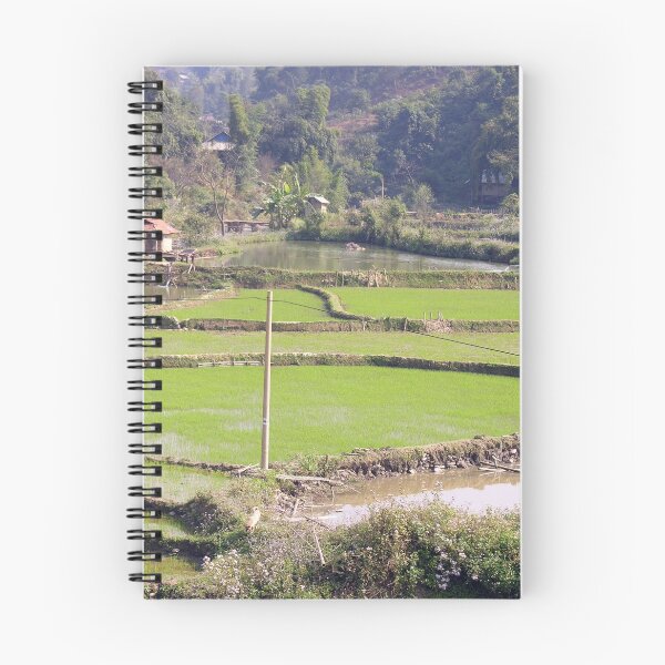 Item preview, Rice Fields Landscape, Vietnam designed and sold by worldways.