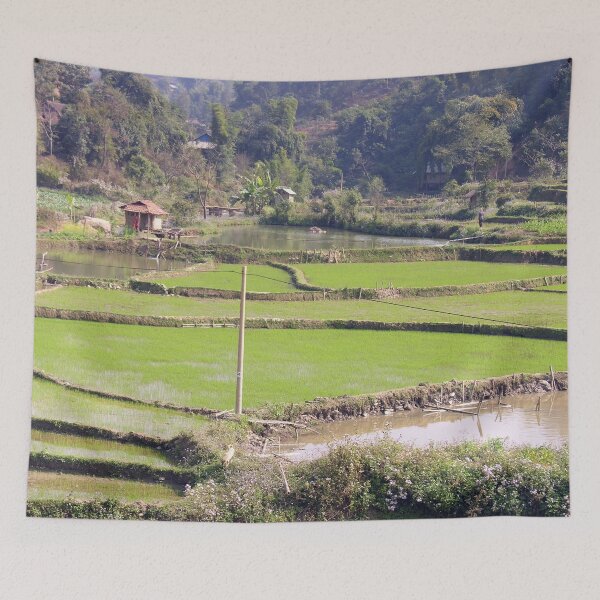 Item preview, Rice Fields Landscape, Vietnam designed and sold by worldways.