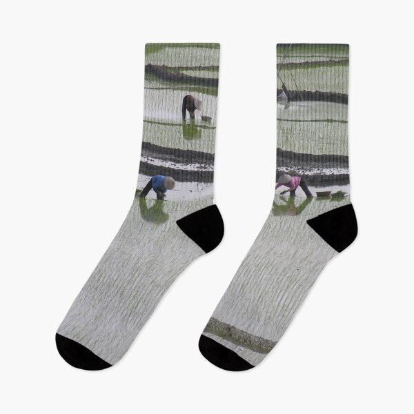 Item preview, Rural Landscape, Farmers Working Rice Fields,Vietnam designed and sold by worldways.
