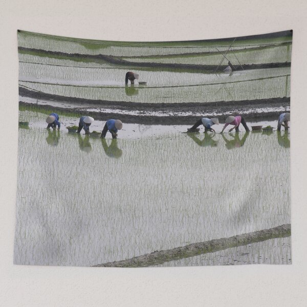 Item preview, Rural Landscape, Farmers Working Rice Fields,Vietnam designed and sold by worldways.