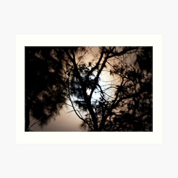 Moonlight, Clouds & Wind Art Print