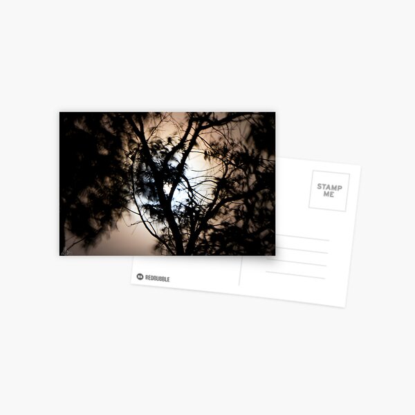 Moonlight, Clouds & Wind Postcard