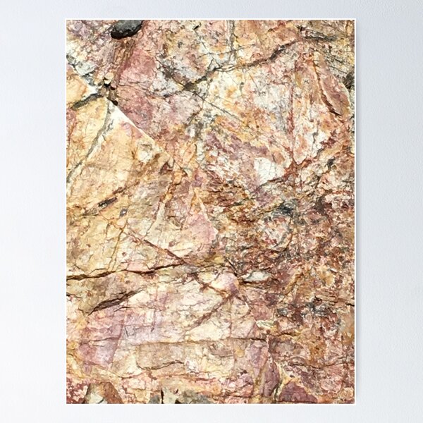 rock art Poster