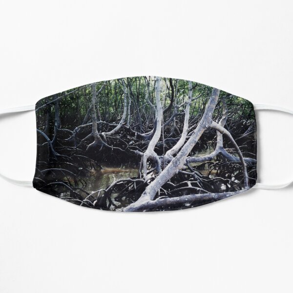 Mangroves Swamp Coastal Tropical Trees, Brasil Mask