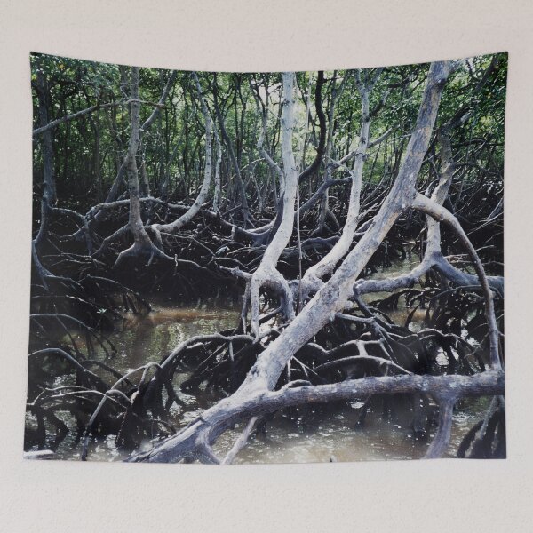 Item preview, Mangroves Swamp Coastal Tropical Trees, Brazil designed and sold by worldways.