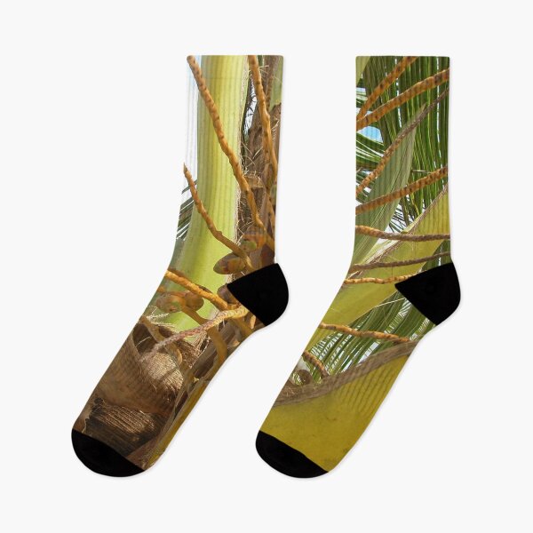 Item preview, Coconut Tree Detail, little coocnuts growing, Brazil designed and sold by worldways.