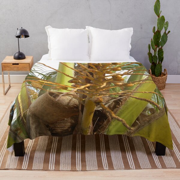 Item preview, Coconut Tree Detail, little coocnuts growing, Brazil designed and sold by worldways.