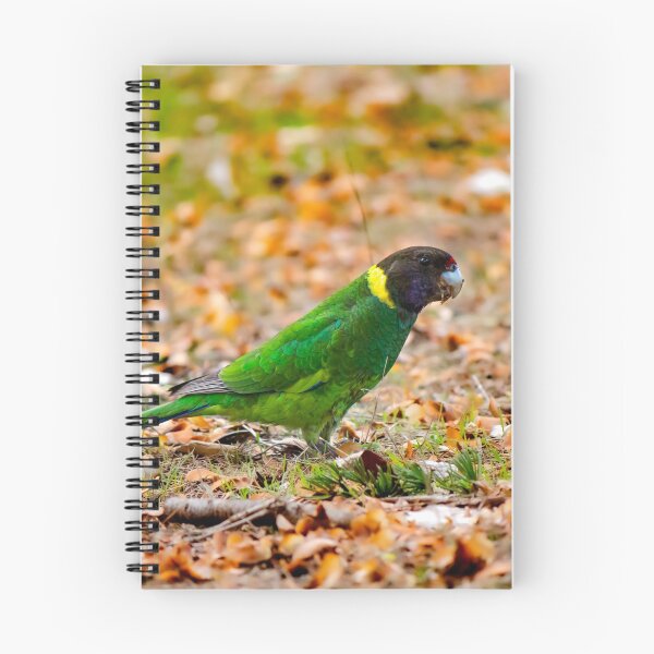 Item preview, An Australian Twenty Eight Parrot in Autumn designed and sold by FigTreeMagick.