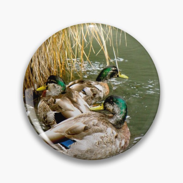 Item preview, Three Ducks in a Row designed and sold by Anthony Macaluso.