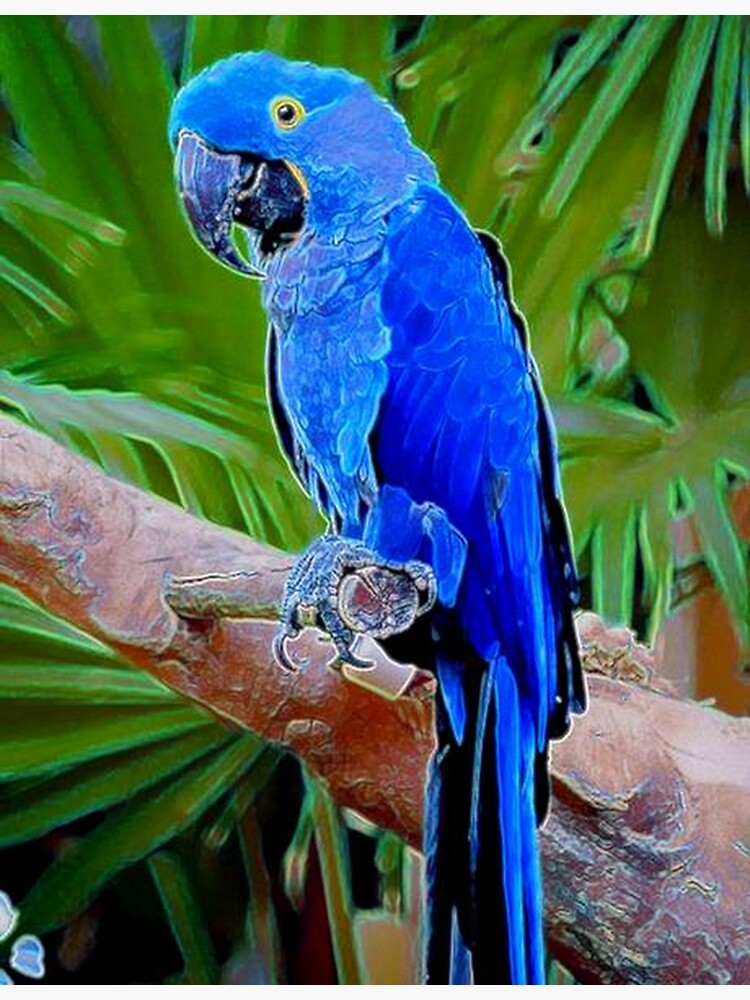 BLUE TROPICS by michaeltodd