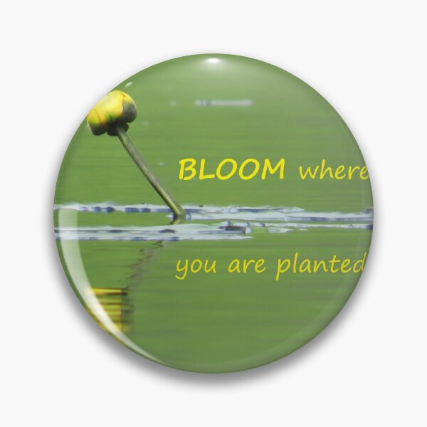 Item preview, BLOOM designed and sold by JoanneKenney.