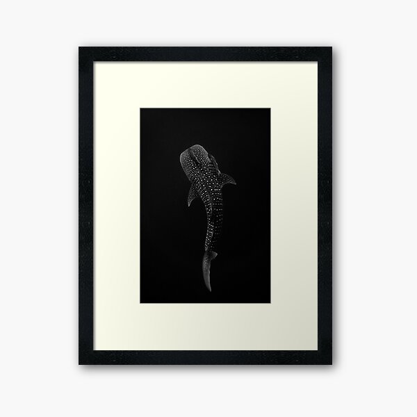 Whale Shark Portrait - Black and White Framed Art Print