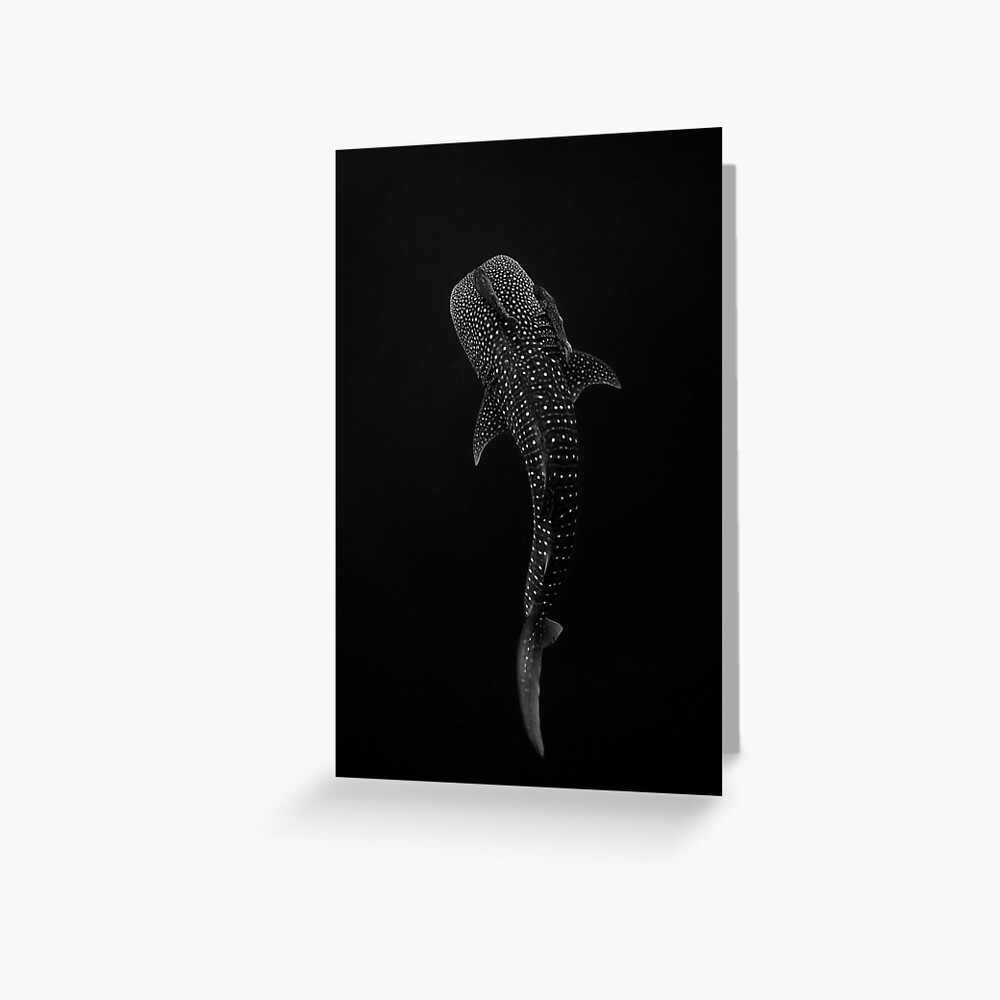 Item preview, Greeting Card designed and sold by Ollieunderwater.