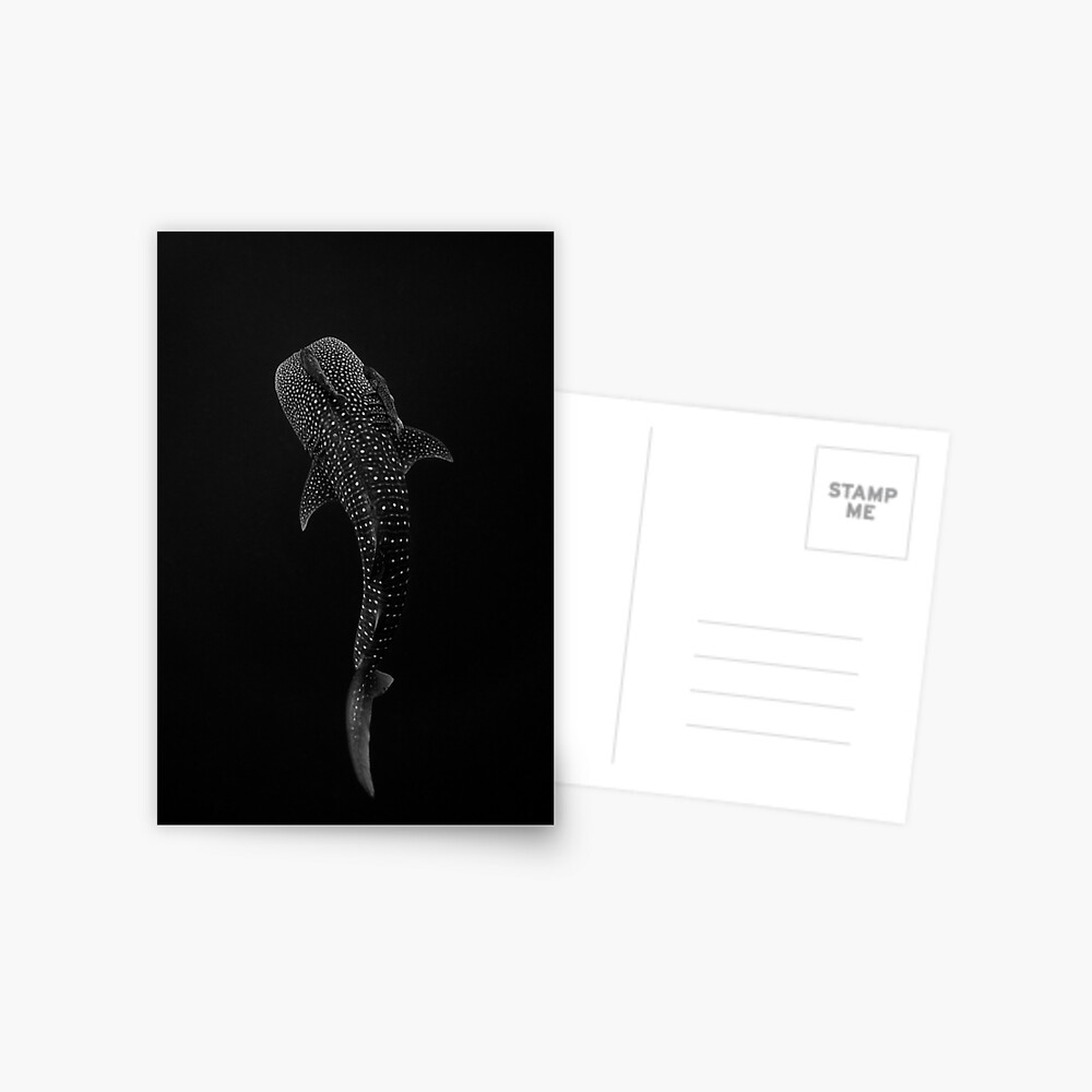 Item preview, Postcard designed and sold by Ollieunderwater.