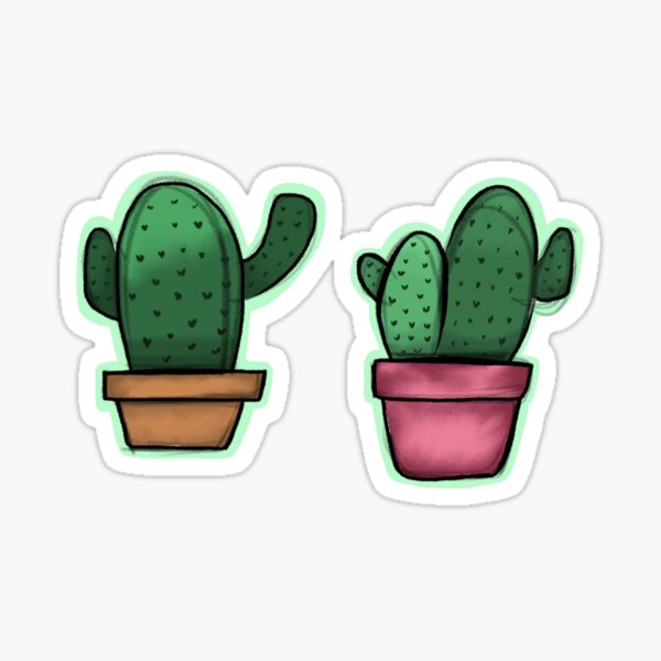 Prickly Pear Cactus Pad GREEN20 1 Pot Live Plant of Purple