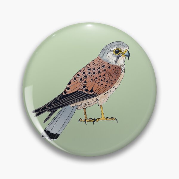 Item preview, Common Kestrel designed and sold by Callado.