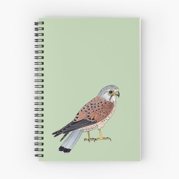 Item preview, Common Kestrel designed and sold by Callado.