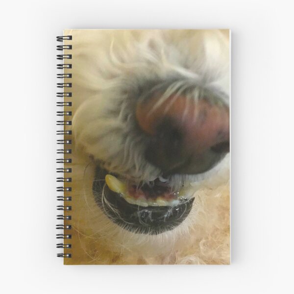 Item preview, Dog, dog nose, poodle designed and sold by MelidasArt.