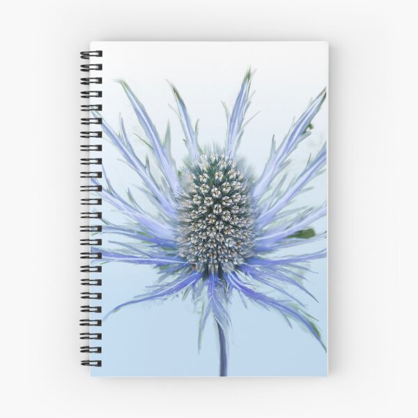 Item preview, Sea Holly Single designed and sold by Alisonchambers2.