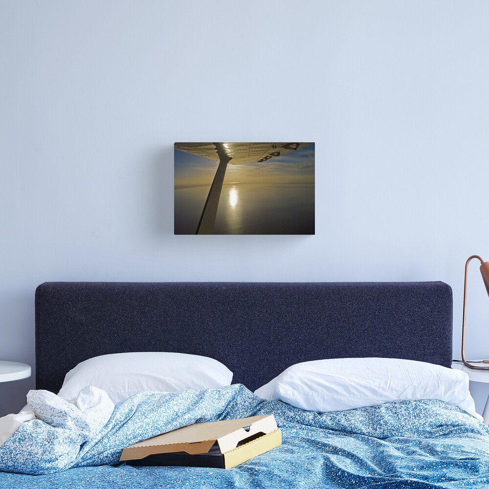 Winging over Lake Eyre - South Australia Canvas Print