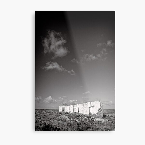 Standing in an unforgiving landscape - Flinders Ranges - South Australia Metal Print