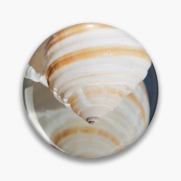 Item preview, Beautiful tun cask shell on a mirror	 designed and sold by EstelleRossetti.