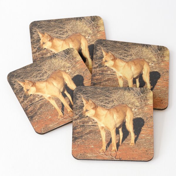 Item preview, Ringo the Dingo designed and sold by Rosdenphoto.
