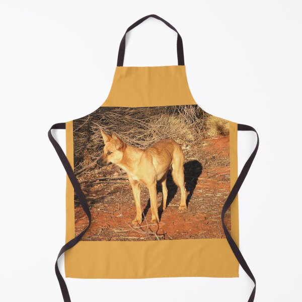 Item preview, Ringo the Dingo designed and sold by Rosdenphoto.